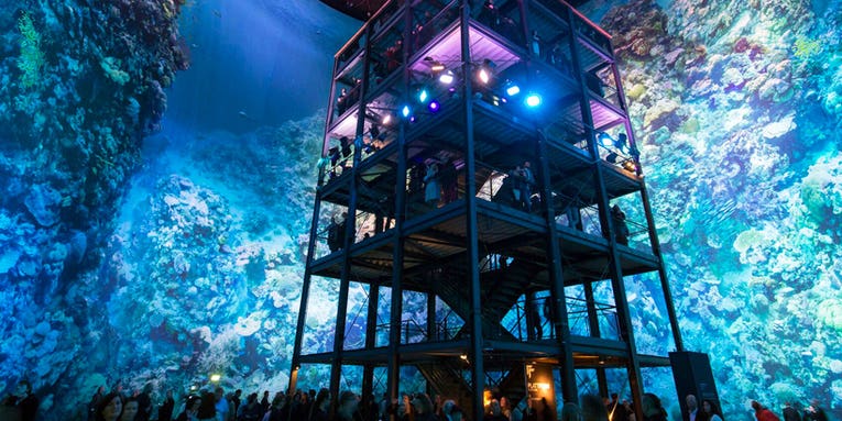 Explore The Great Barrier Reef Inside A Giant Gas Tank