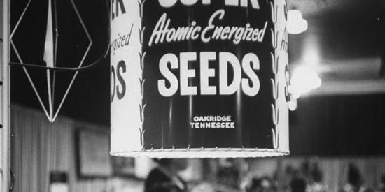 Atomic Gardens, the Biotechnology of the Past, Can Teach Lessons About the Future of Farming