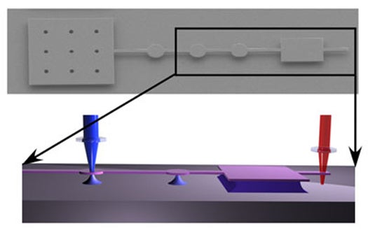 Nanoelectromechanical Sensor Can Instantly Detect Pathogens And Toxins
