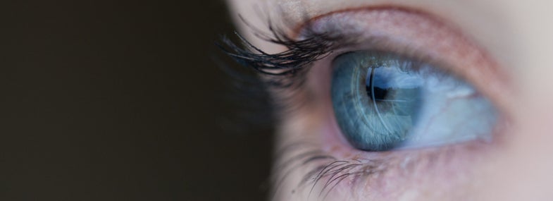 New research on eyeballs just might lead to a jet lag cure