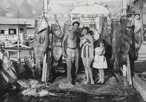 Fifty Years Ago, Fish Were Bigger; Fifty Years From Now, They’ll Be Gone