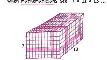 What does math look like to mathematicians?