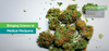 This Startup Wants To Put The &#8216;Medical&#8217; Back In Marijuana