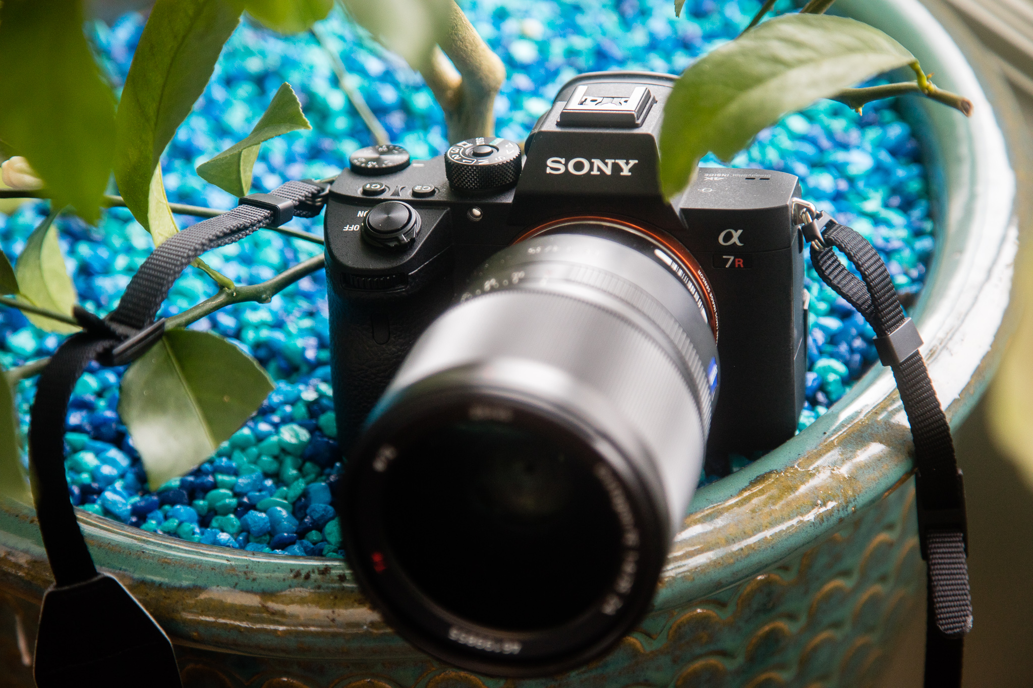 The sony A7R Mark III is the best camera of 2017