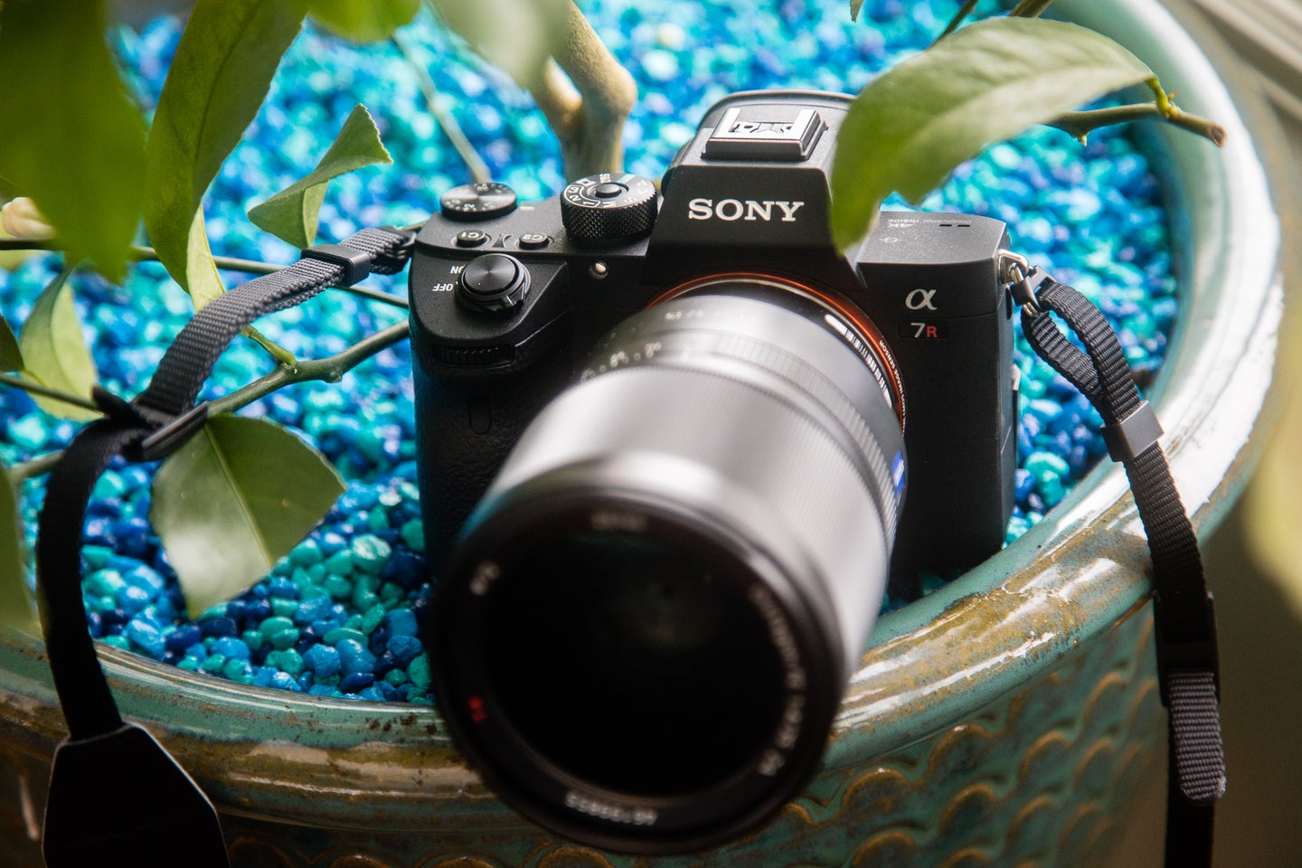 Sony A7R Mark III review