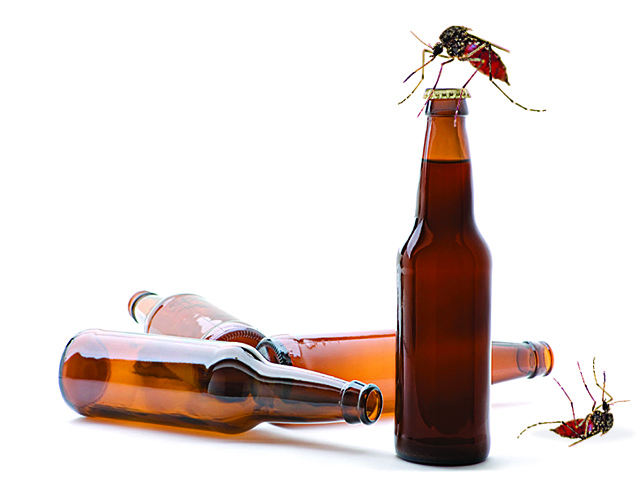 If a Mosquito Bites Me after I’ve Had a Beer, Can It Get Drunk?