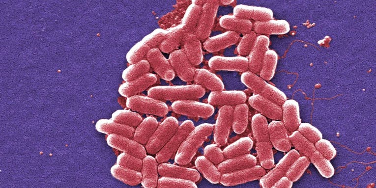 Your DNA Could Make You Resistant To Certain Bacteria