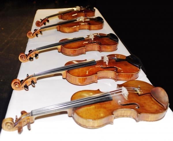 Fungus-Infected Violin Beats Stradivarius in Listening Test