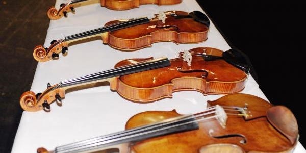 Fungus-Infected Violin Beats Stradivarius in Listening Test