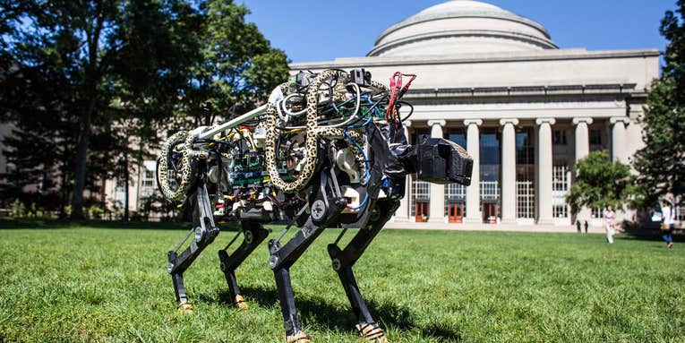 Fast-Running Robot Cheetah Let Off Its Leash
