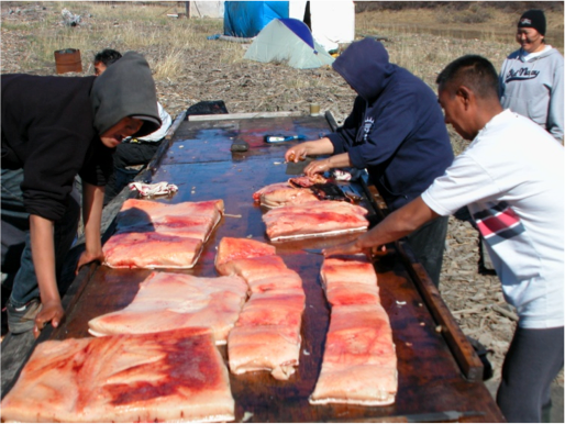 Inuit hunters process beluga whale meat, which is a foundation of their traditional diet.