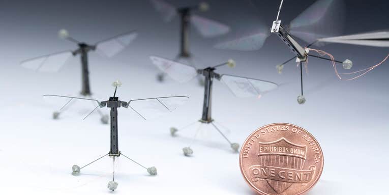 Flying Robot Bees Can Now Swim, Too