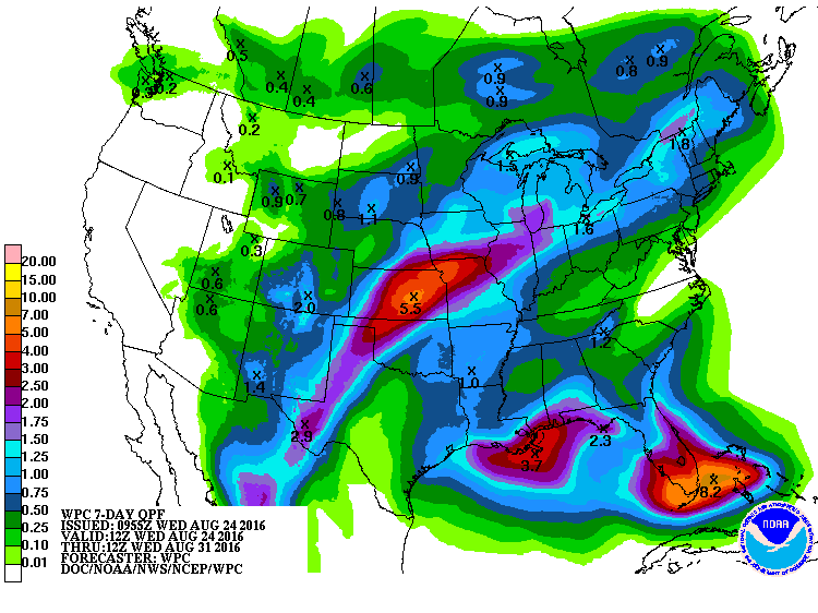 Invest 99L predicted rainfall