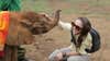 A Visit To An Elephant Orphanage