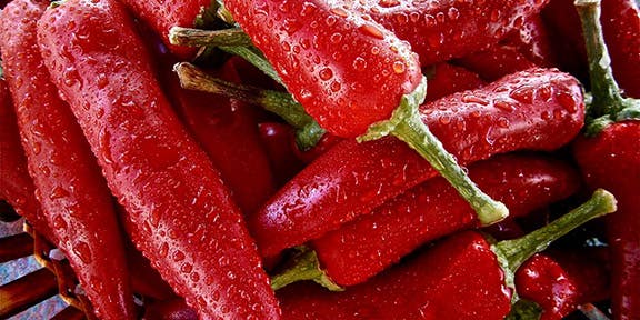 How hot peppers and marijuana could help cure gut problems