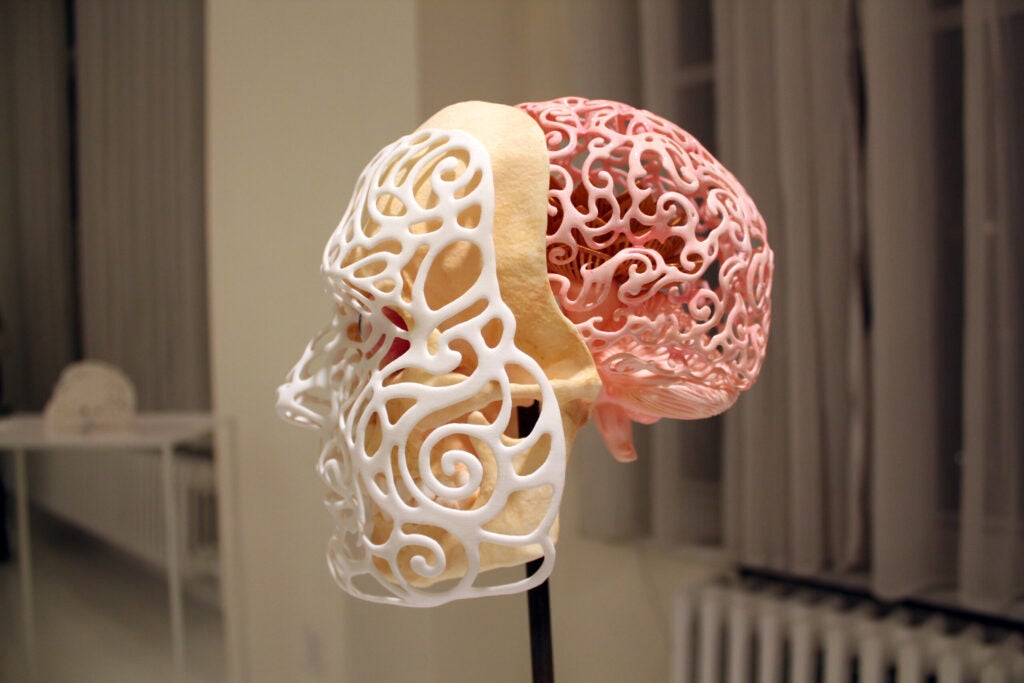 That's right. You are looking at a geometrified 3D model of artist Joshua Harker's skull. Fancy your own self-portrait? Head to the Museum of Arts and Design in New York for a <a href="http://www.shapeways.com/blog/archives/2322-shapeways-body-scans-at-the-mad-in-nyc.html?%2Farchives%2F2322-shapeways-body-scans-at-the-mad-in-nyc_html=">full body scan</a>.