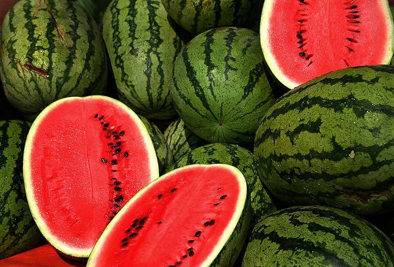 Once again, DNA sequencing of a crop plant could help biologists and plant growers produce tastier versions of the crop. The watermelon genome has the added benefit of illuminating the plant vascular system. The genome of the <a href="http://www.nature.com/ng/journal/vaop/ncurrent/full/ng.2470.html">domesticated watermelon</a> contains 23,440 genes, roughly the same number of genes as in humans, according to scientists at Cornell. To decode it, the team compared the genomes of 20 different watermelons. This enabled the researchers to identify which areas of the genome have been under selection by humans, like those associated with fruit taste, size and color. Along with the previously published cucumber genome, the watermelon genome is now helping biologists determine how proteins and RNAs are involved in the plant vascular system, which could lead to drought-resistant crops.