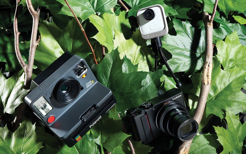 cameras in a tree