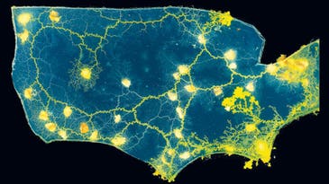 A Map of the US…Made of Slime Mold