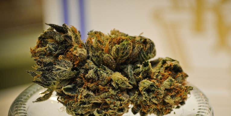 Chemical In Marijuana Could Build Strong Bones