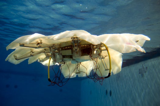 Students Create Man-Sized Autonomous Robotic Jellyfish, This Is The Beginning Of The End