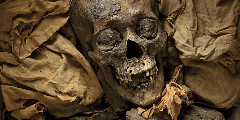 How Studying Mummies Could Cure Modern Diseases