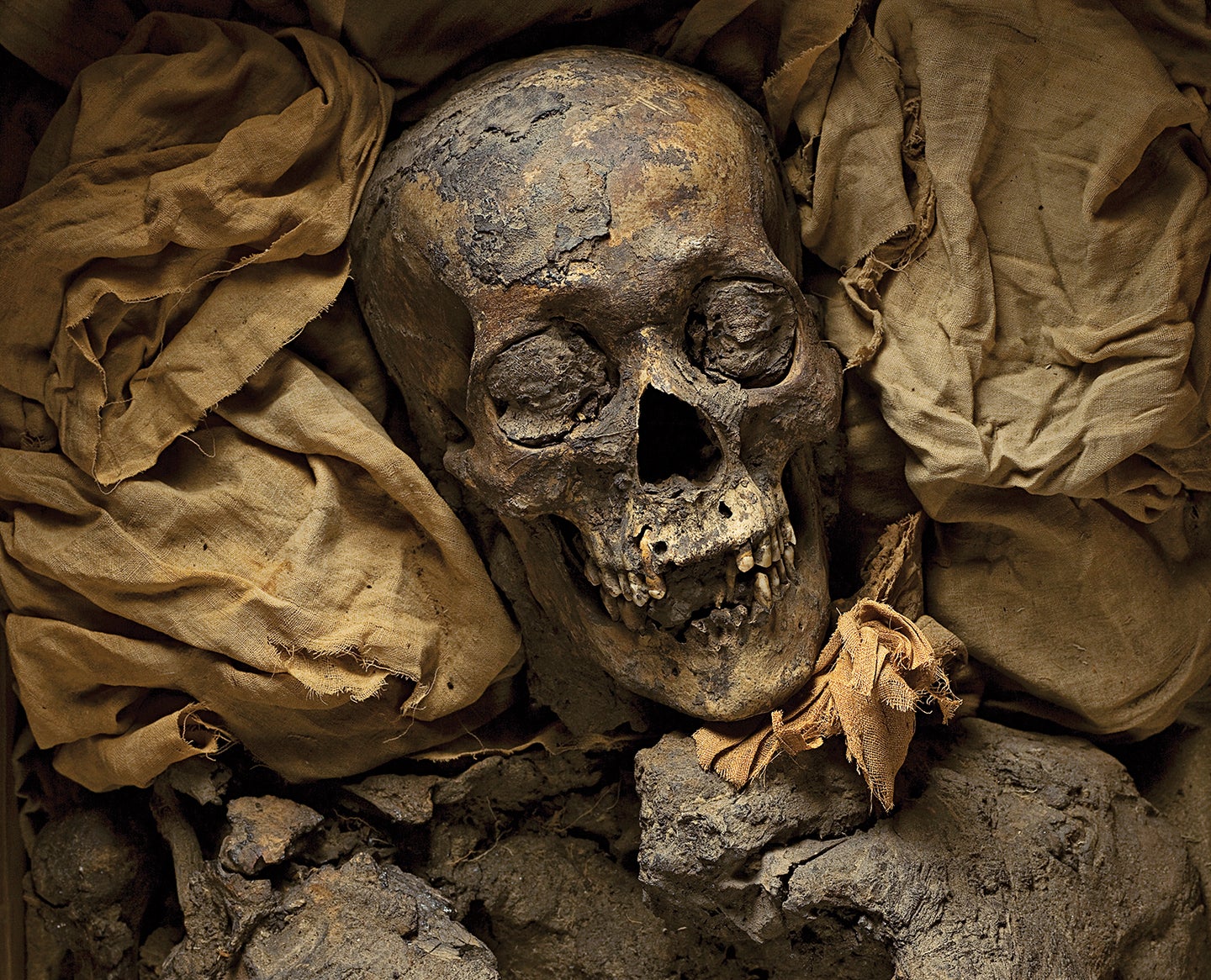 This mummy was once Amenhotep III, King Tut's grandfather.