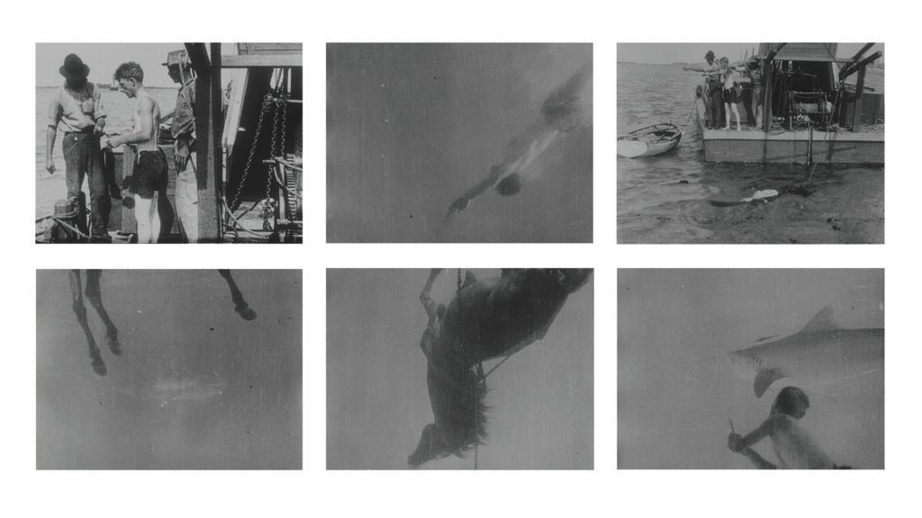The first underwater footage