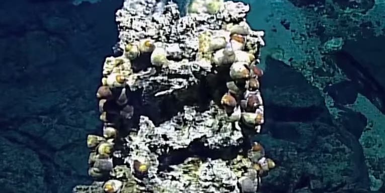 Scientists Freak Out Over Newly Discovered Hydrothermal Vents
