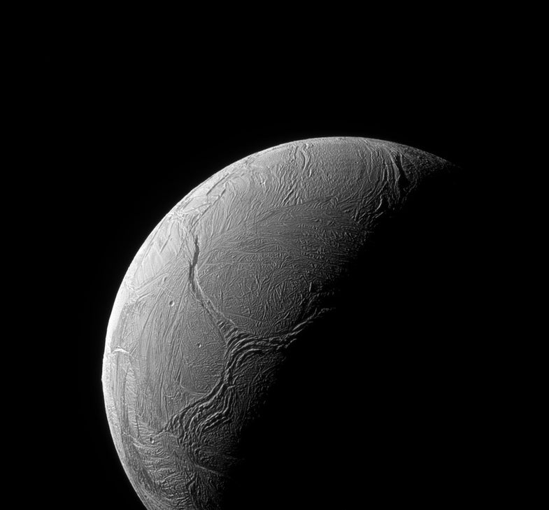Enceladus Y-shaped 'tentacle' feature