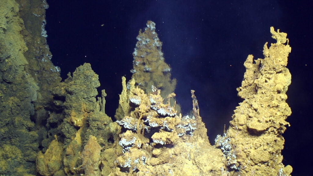 hydrothermal vent