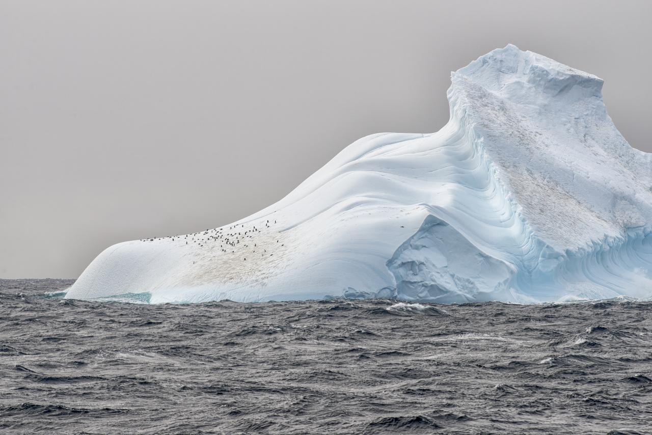 Behold The Beauty That’s Now Protected By The Ross Sea Reserve