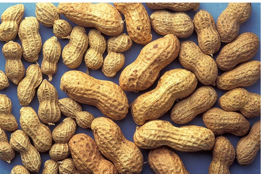 Study Finds A Daily Dose Of Peanuts Under Your Tongue Helps Treat Peanut Allergies