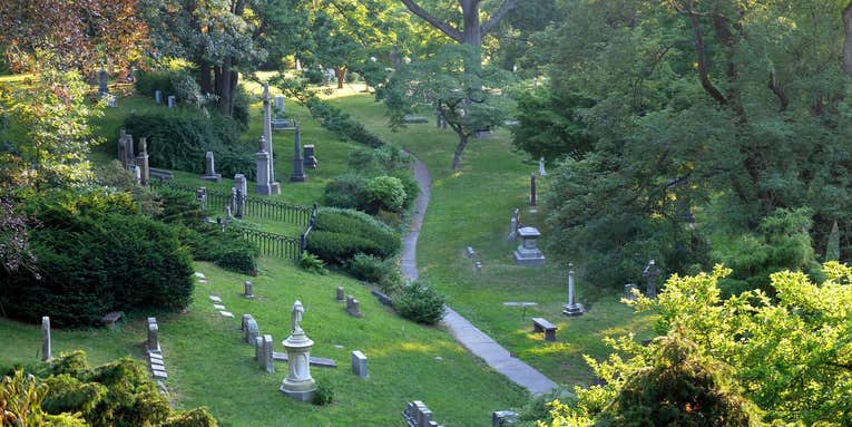 Cemeteries are the perfect spot to track our planet’s demise