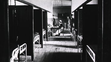 A hundred years later, we're still not sure why the Spanish flu killed so many people