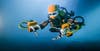 OceanOne, the diving robot