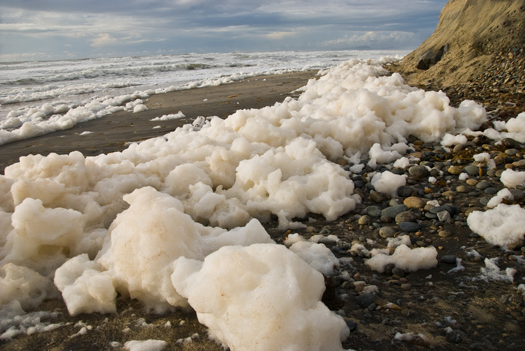 FYI: What Is Sea Foam? Where Does It Come From?