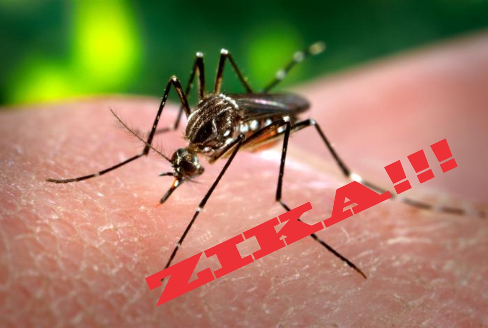 How Can We Prevent Zika From Becoming The Next “Fearbola”?
