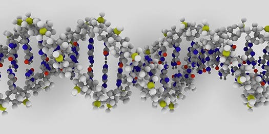 World’s First DNA-Based Logic Gates Could Lead to Injectable Bio-computers