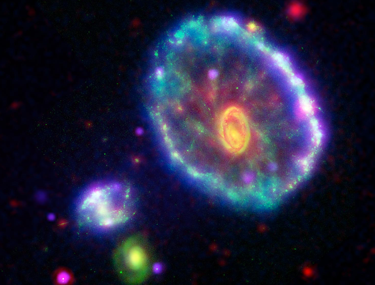 This image of the Cartwheel galaxy shows multi-wavelength observations from several NASA missions, including the Galaxy Evolution Explorer, whose data is seen in blue. The Hubble Space Telescope is in green, the Spitzer Space Telescope is in red and the Chandra X-ray Observatory is in purple.