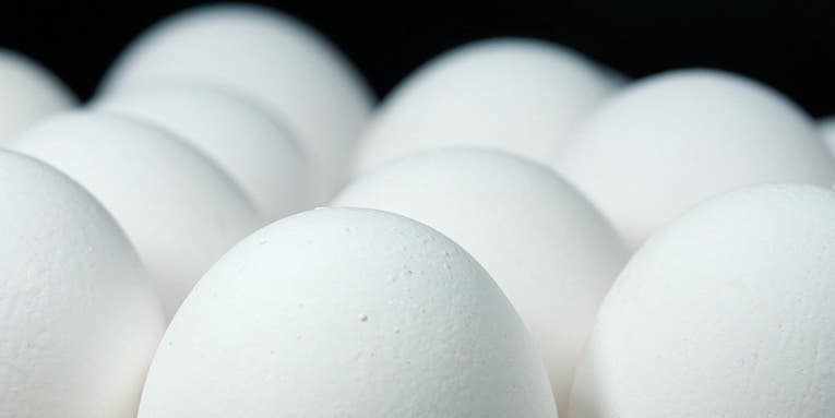 Egg whites could help power a clean-energy future