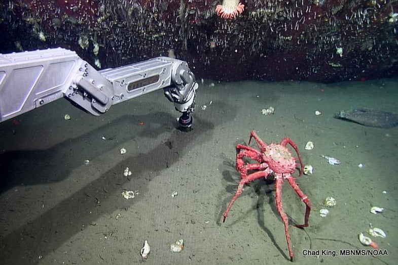 ROV Heads To Seafloor To Explore Lost Shipping Container