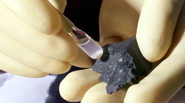 Genetic Material Found on Meteorite