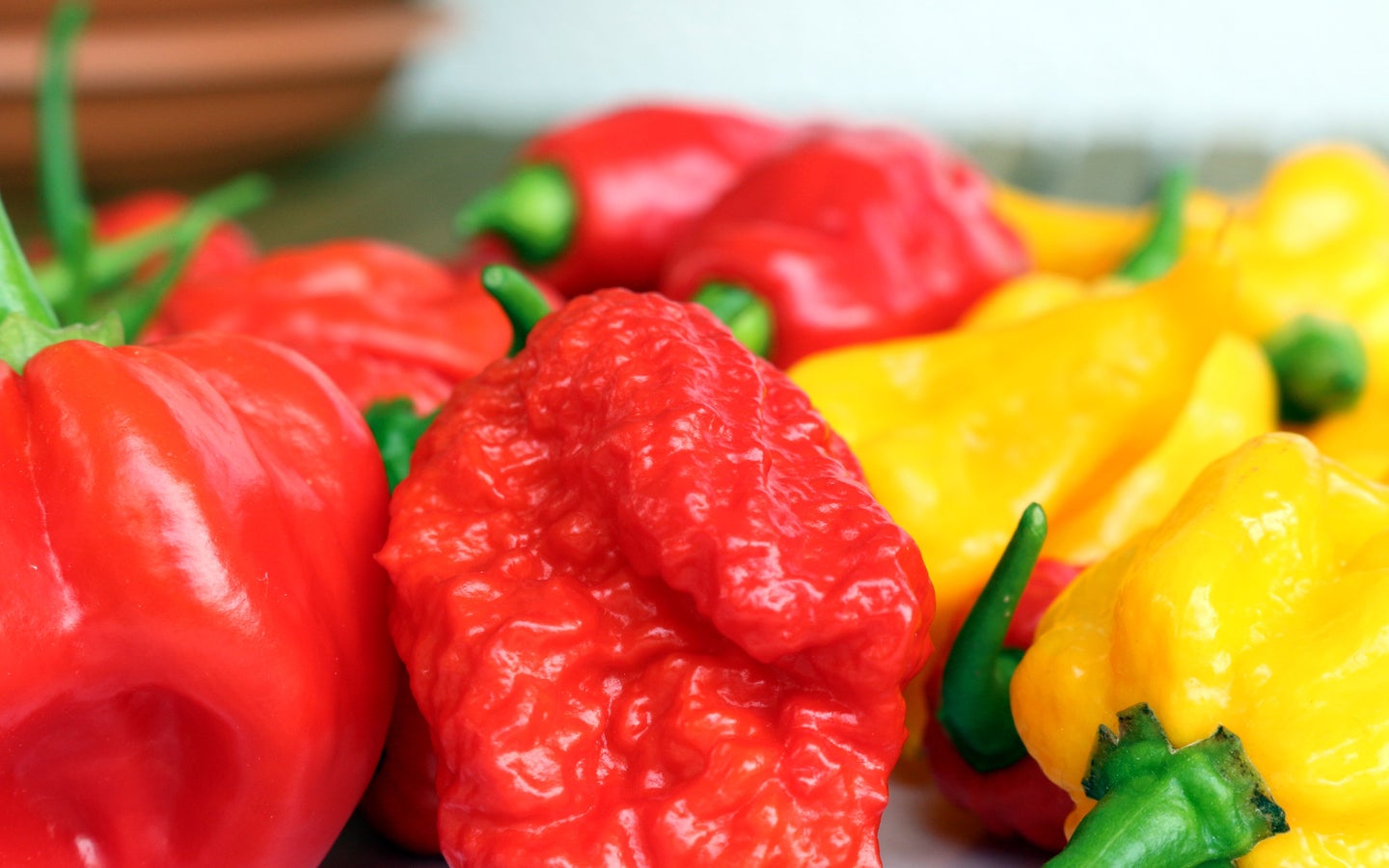 This guy ate a pepper so hot doctors thought he might be having an aneurysm