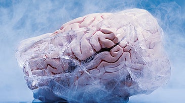 Can 'Brain Freeze' Cause Long-Term Brain Damage?