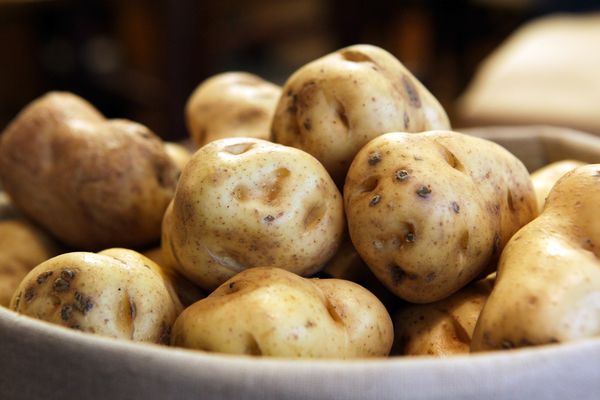 Scientists Reveal The Cause Of The Irish Potato Famine