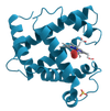 This is an illustration of the structure of myoglobin, one of the two first protein structures scientists figured out.
