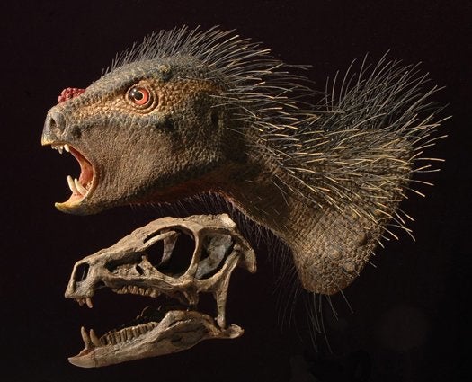 <em>Pegomastax africanus</em>, a dinosaur identified for the first time this week, was smaller than a housecat but not nearly as likable--especially with all those porcupine-like quills. Read about it <a href="https://www.popsci.com/science/article/2012-10/tiny-fanged-plant-eating-dinosaur-identified/">here</a>.