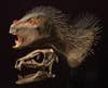 <em>Pegomastax africanus</em>, a dinosaur identified for the first time this week, was smaller than a housecat but not nearly as likable--especially with all those porcupine-like quills. Read about it <a href="https://www.popsci.com/science/article/2012-10/tiny-fanged-plant-eating-dinosaur-identified/">here</a>.