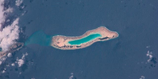 Over The Past 60 Years, A Reef Island Has Grown Out Of The Sea